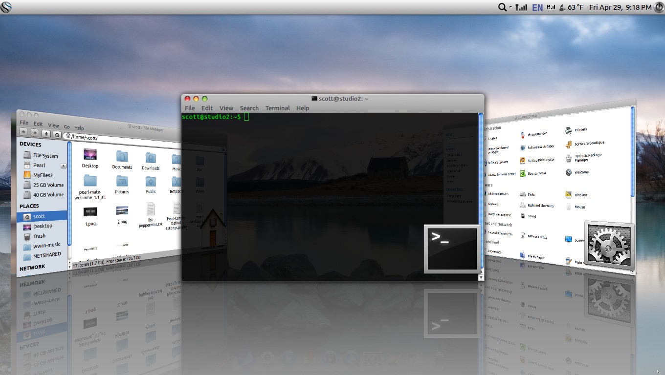 Скриншот 3 программы Pearl OS