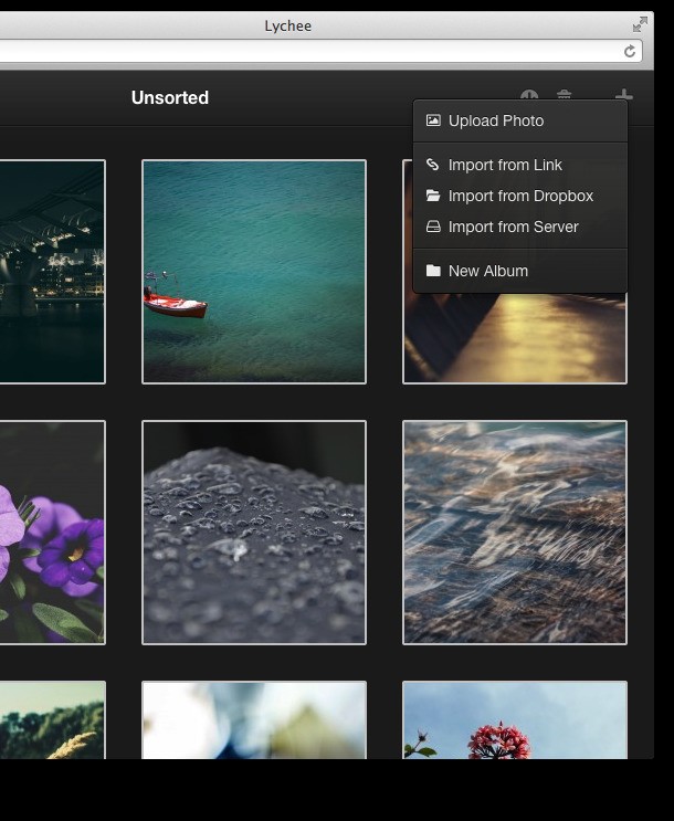 Скриншот 1 программы Lychee