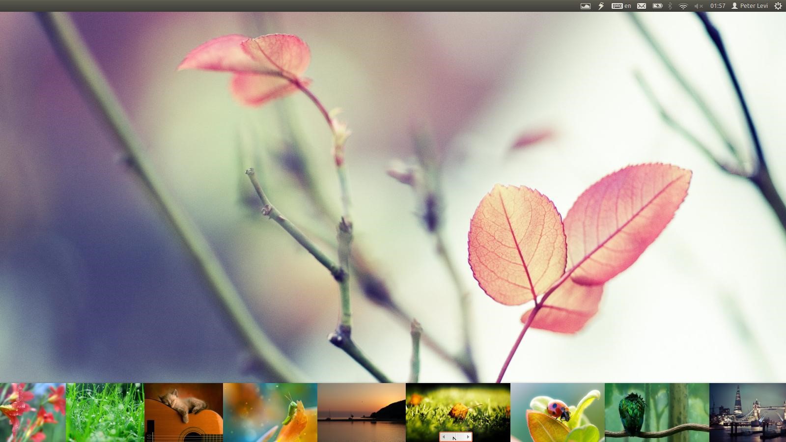 Скриншот 3 программы Variety Wallpaper Changer