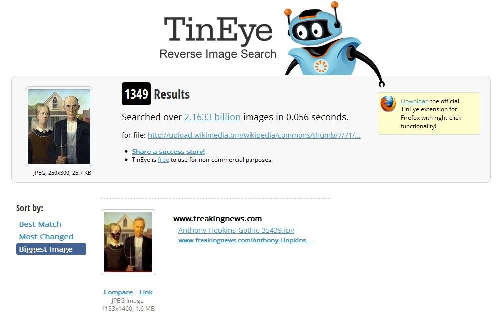 Tineye поиск по фотографии
