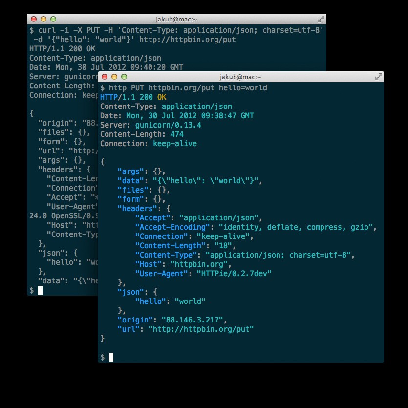Скриншот 1 программы HTTPie