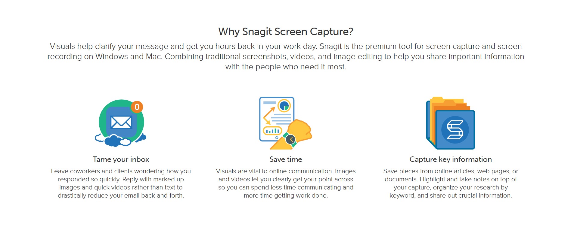 Скриншот 3 программы Snagit