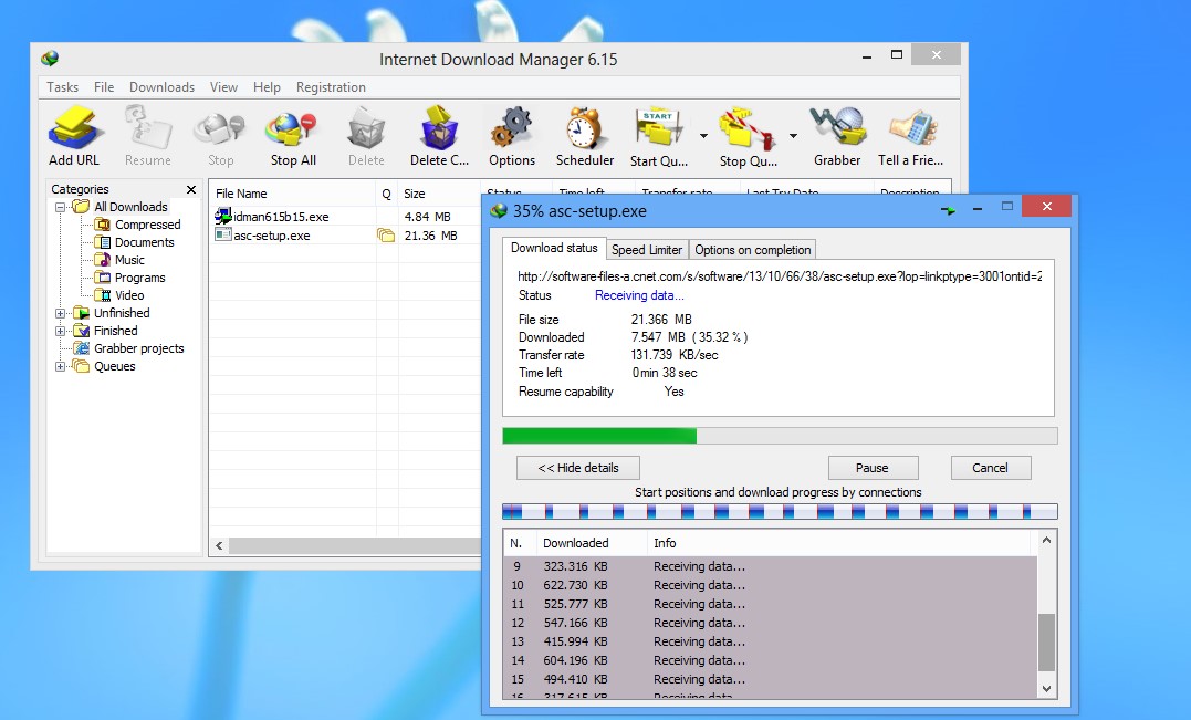 Скриншот 2 программы Internet Download Manager