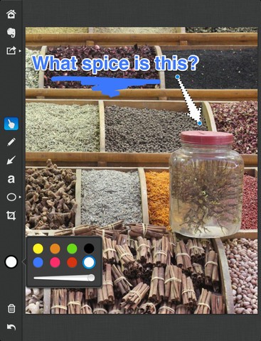 Скриншот 3 программы Skitch