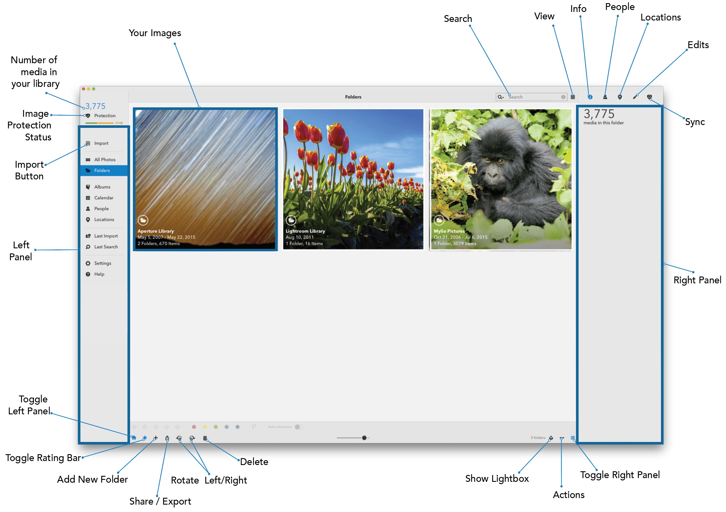 Скриншот 4 программы Mylio