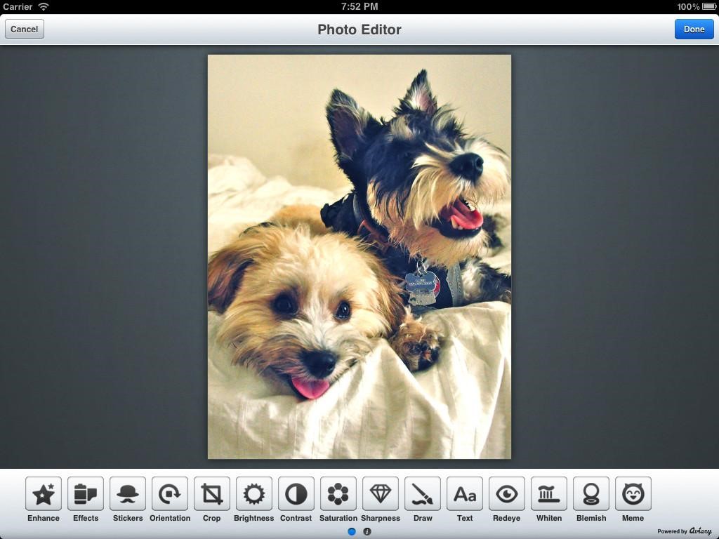 Скриншот 3 программы Aviary Photo Editor
