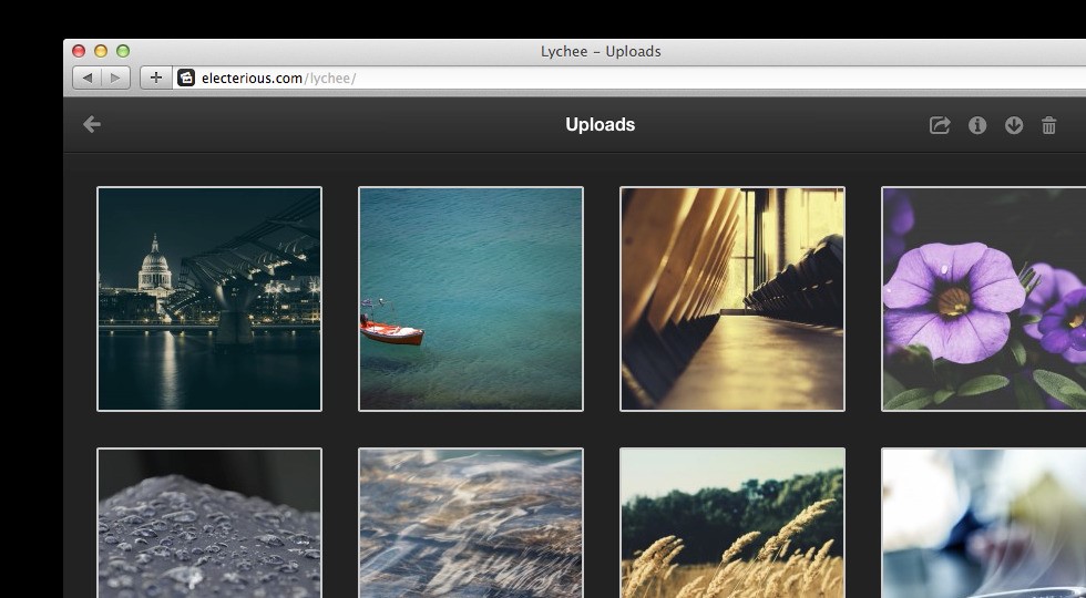 Скриншот 2 программы Lychee