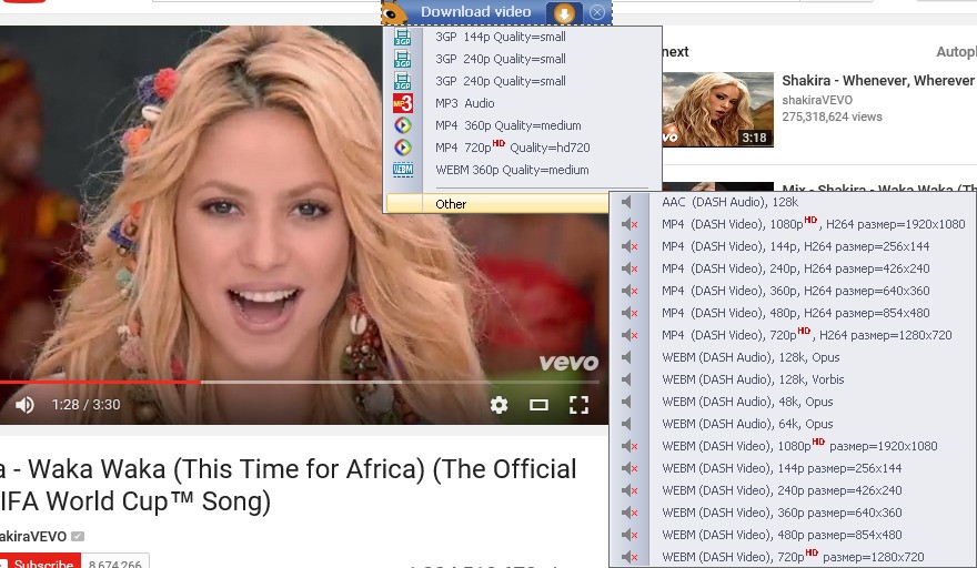 Скриншот 4 программы Ant Download Manager & Video Downloader