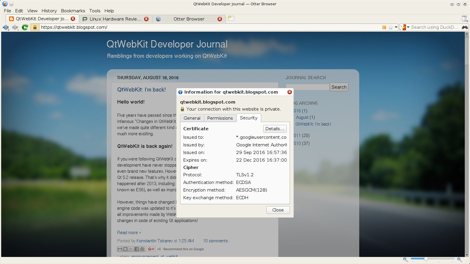 Скриншот 4 программы Otter Browser