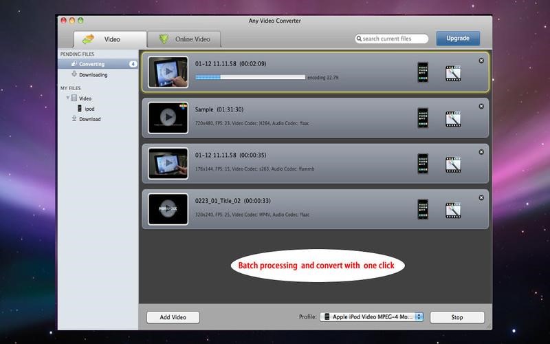 Скриншот 3 программы Any Video Converter