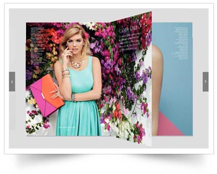 Скриншот 4 программы FlowPaper