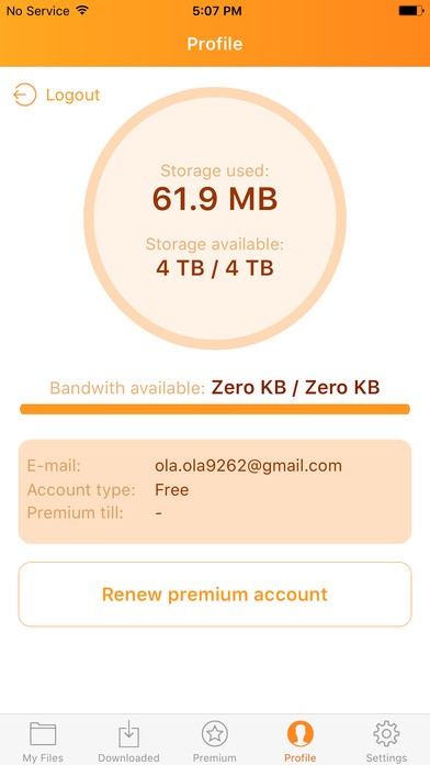 Скриншот 6 программы Rapidgator.net