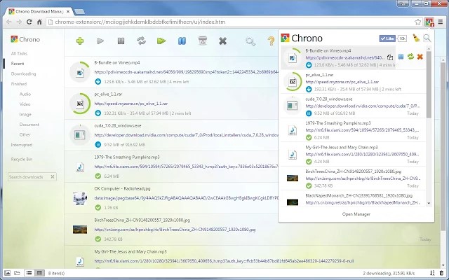 Скриншот 3 программы Chrono Download Manager