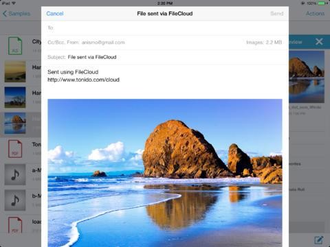 Скриншот 3 программы FileCloud