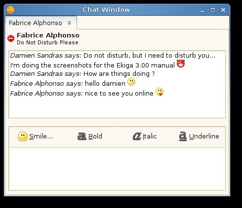 Скриншот 5 программы Ekiga