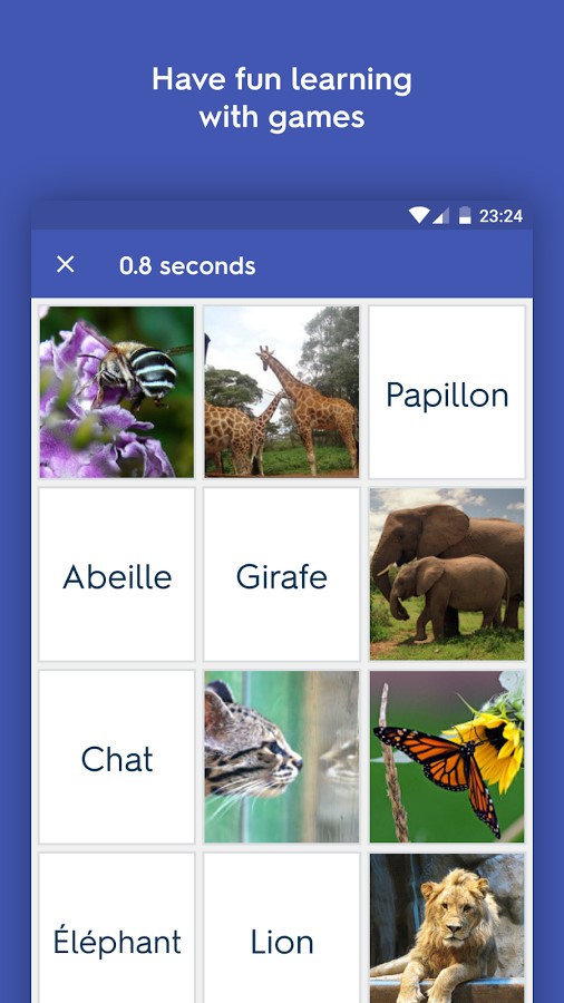 Скриншот 4 программы Quizlet