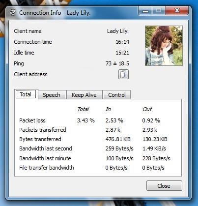 Скриншот 6 программы TeamSpeak