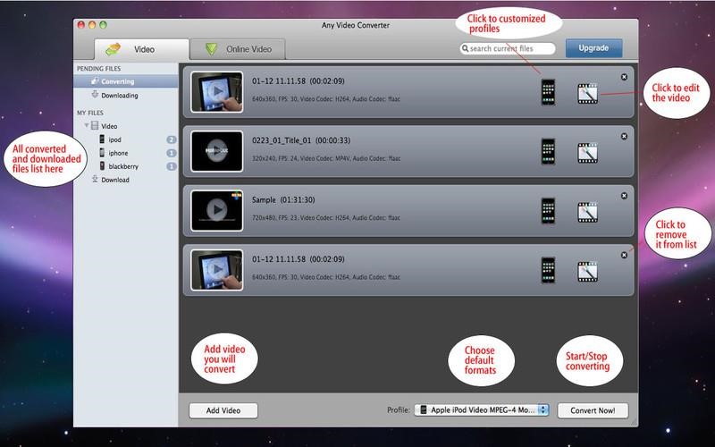 Скриншот 4 программы Any Video Converter