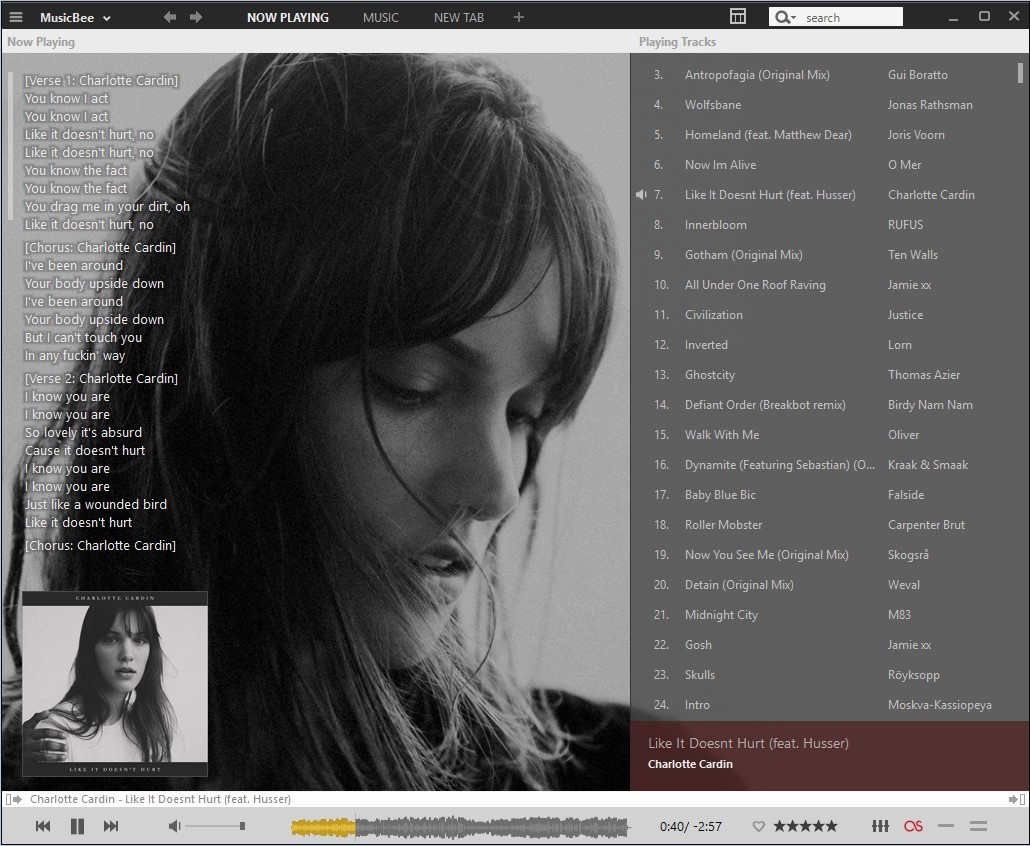 Скриншот 6 программы MusicBee