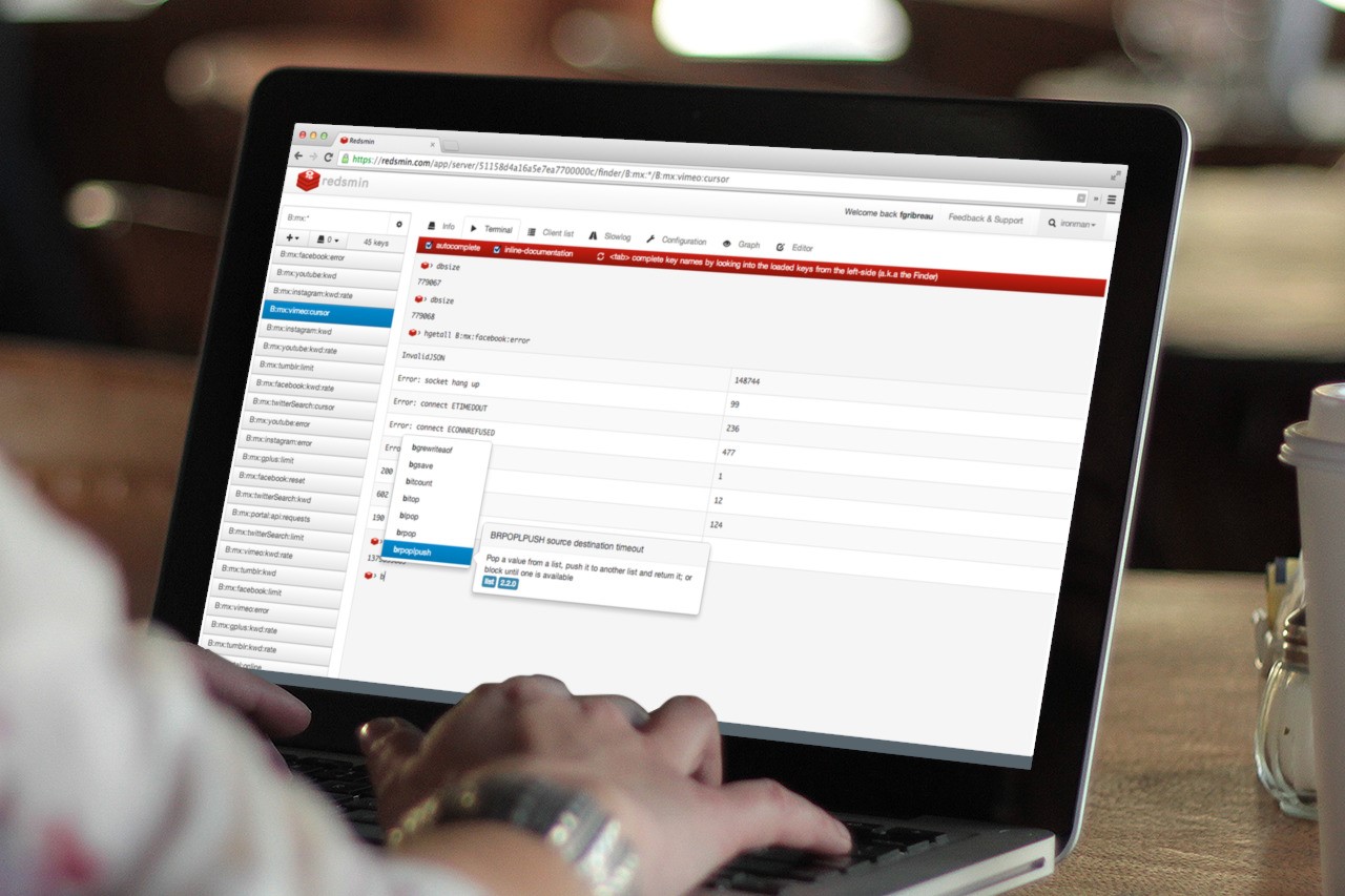 Скриншот 3 программы Redsmin