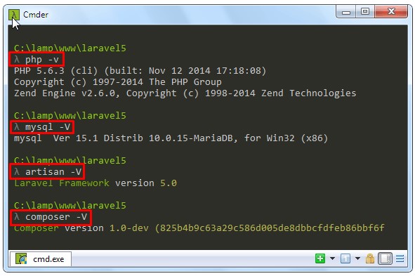Скриншот 4 программы Laragon