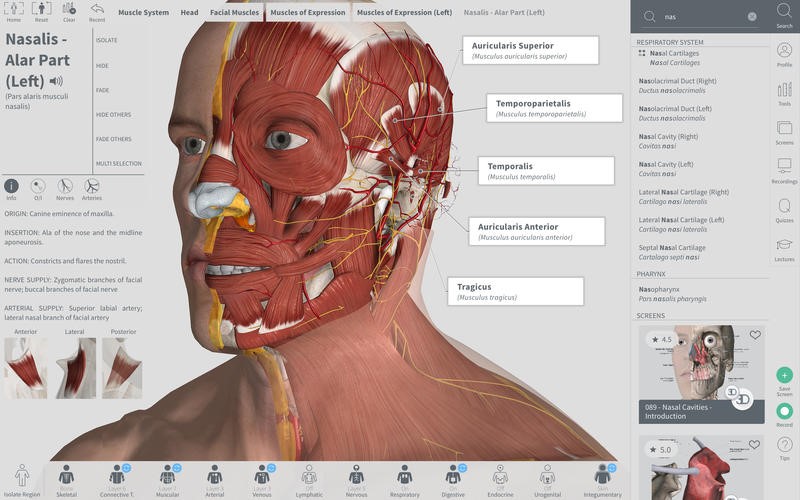 Скриншот 3 программы Complete Anatomy