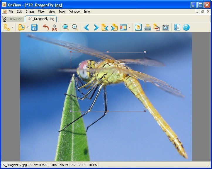 xnview mp vs faststone viewer xnview mp vs faststone viewer