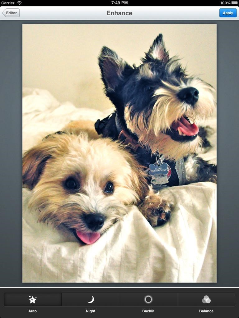 Скриншот 4 программы Aviary Photo Editor