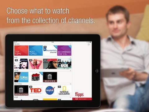 Скриншот 3 программы Flipps