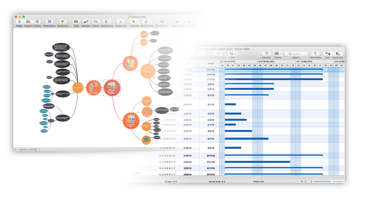 Скриншот 1 программы ConceptDraw MindMap