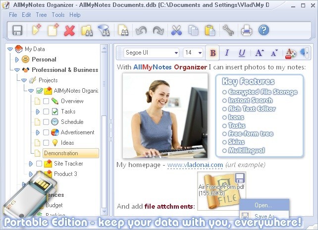 Скриншот 1 программы AllMyNotes Organizer