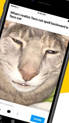 Скриншот 4 программы 9GAG