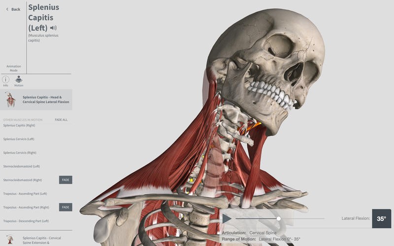 Скриншот 4 программы Complete Anatomy