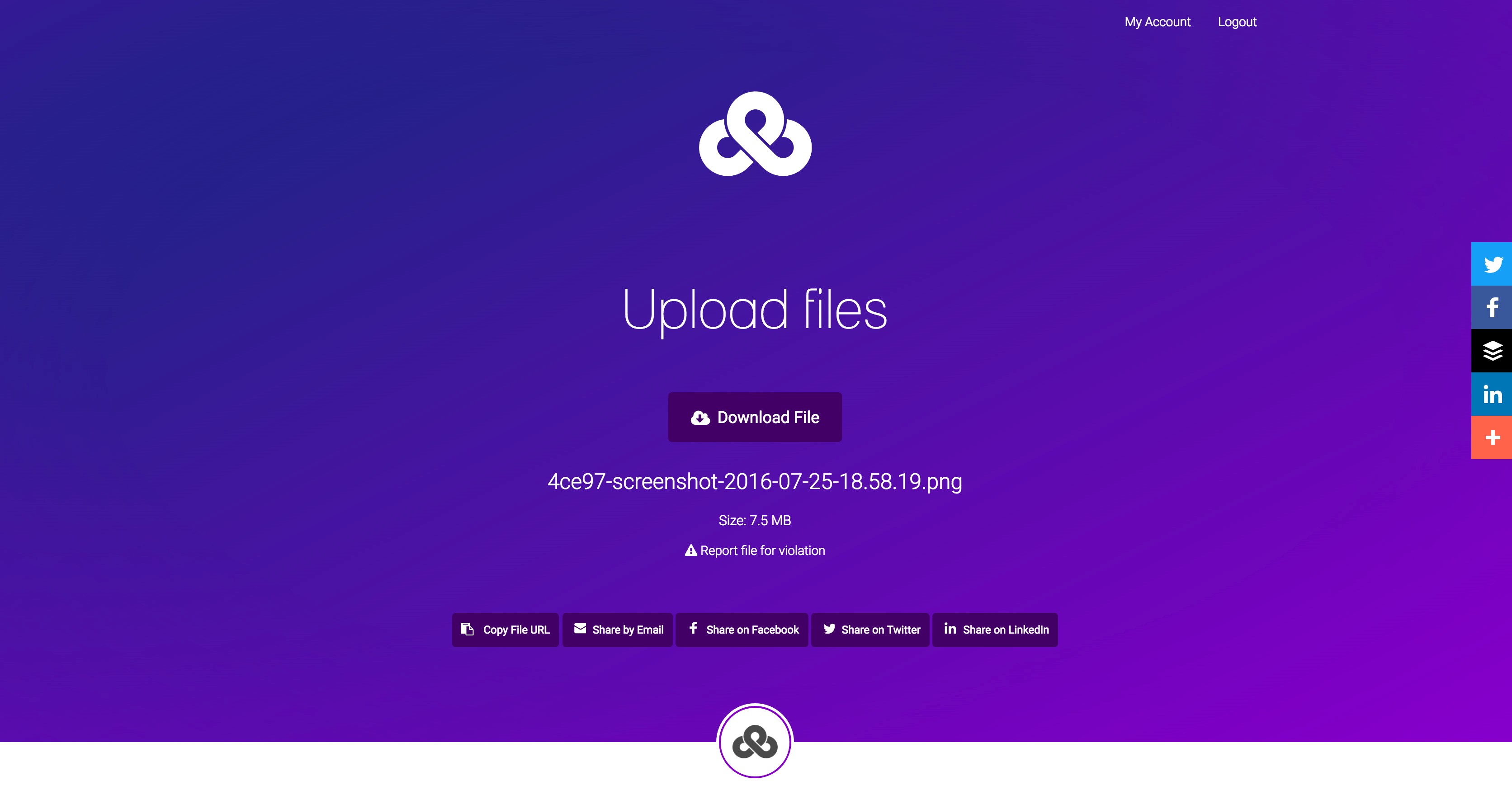 Скриншот 3 программы UploadFiles.io