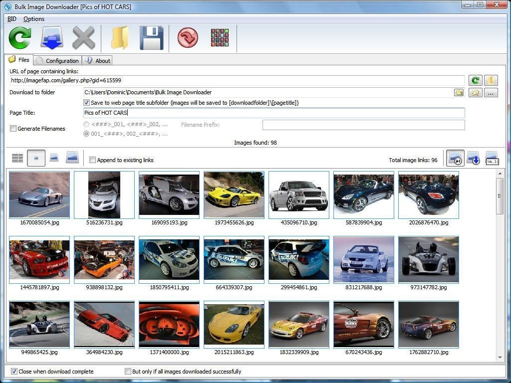 Скриншот 2 программы Bulk Image Downloader