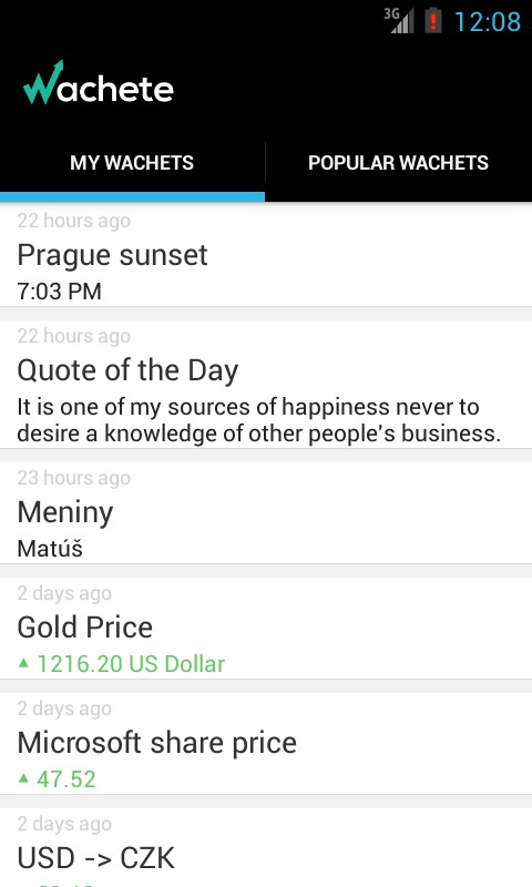 Скриншот 3 программы Wachete