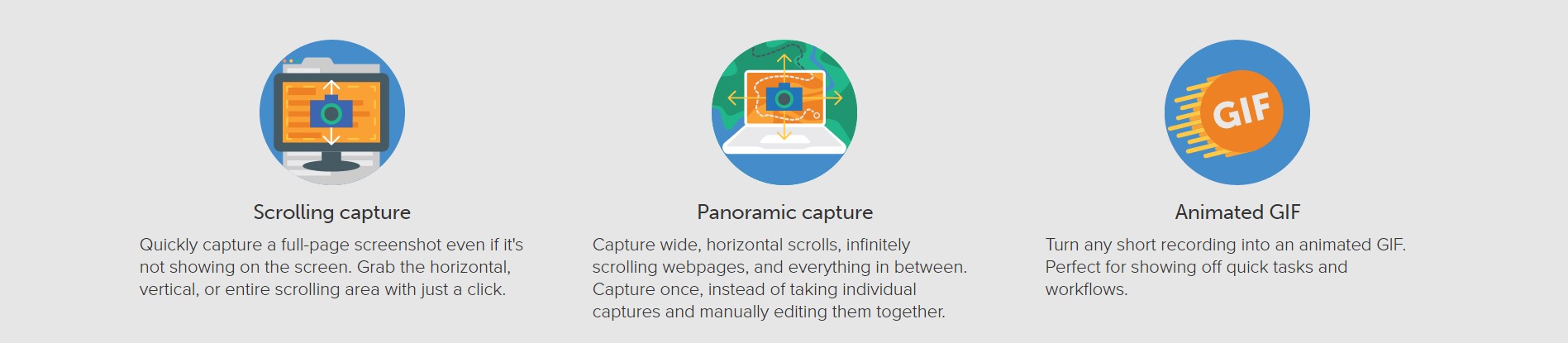 Скриншот 5 программы Snagit