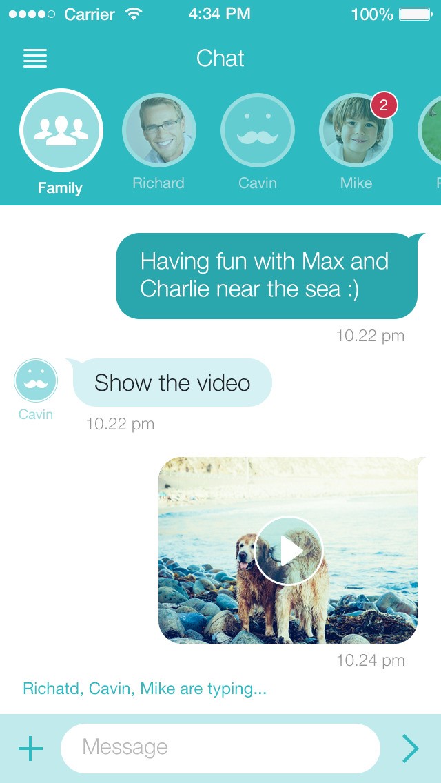 Скриншот 3 программы GeoZilla