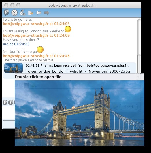 Скриншот 3 программы Jitsi