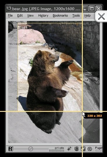 Скриншот 4 программы Jing