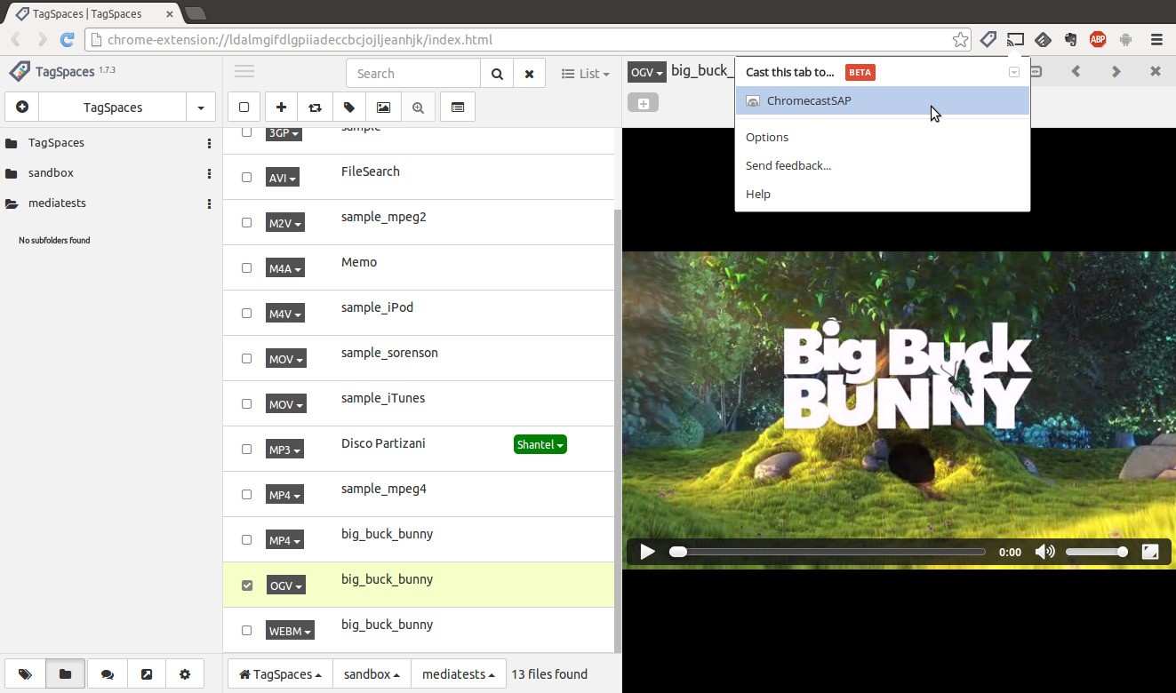 Скриншот 4 программы TagSpaces