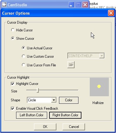 Скриншот 3 программы CamStudio