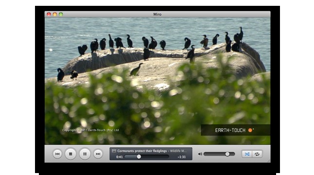 Скриншот 4 программы Miro