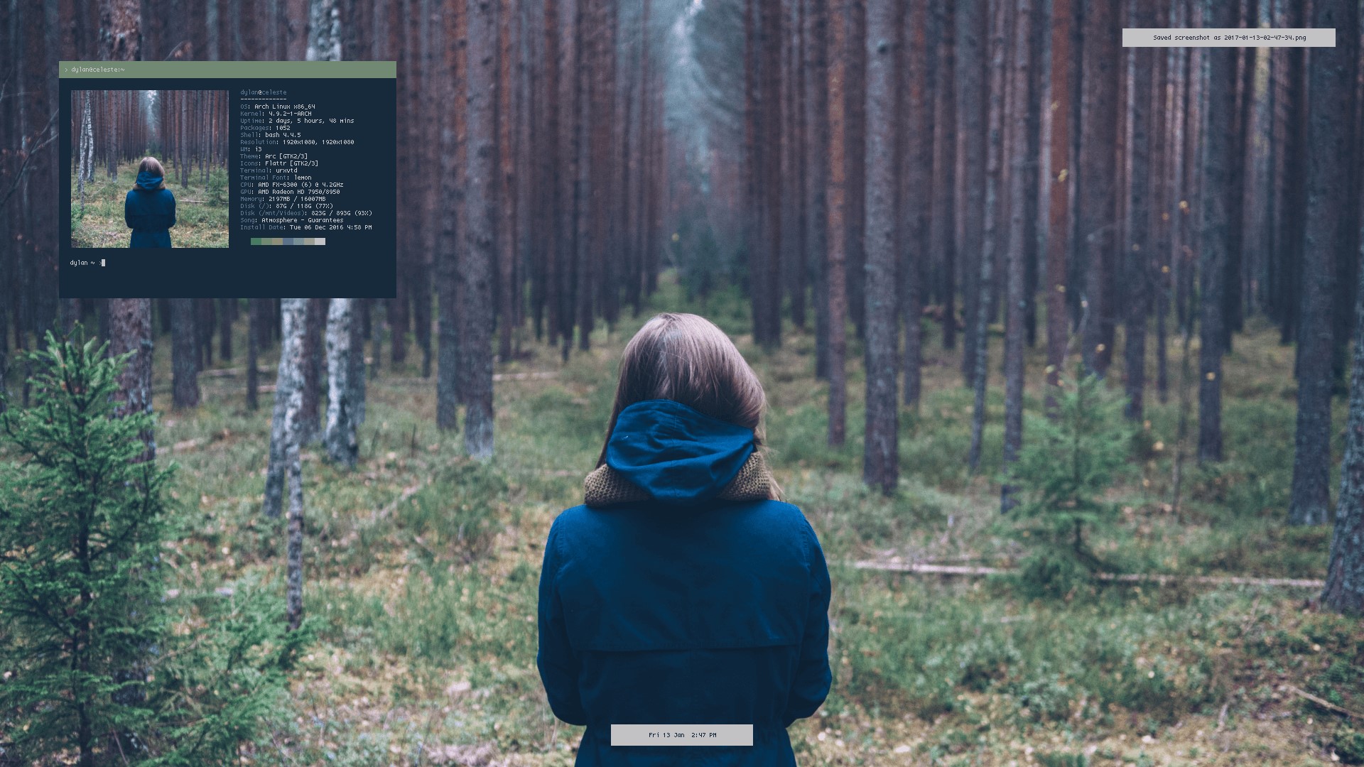 Скриншот 2 программы Neofetch