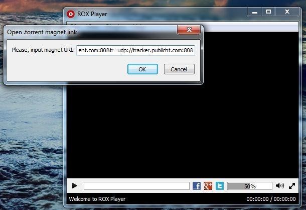 Download ROX Player 1.480 for Windows - Filehippo.com