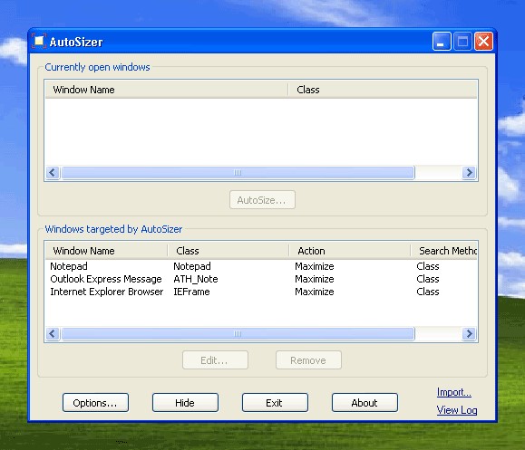 Скриншот 5 программы AutoSizer