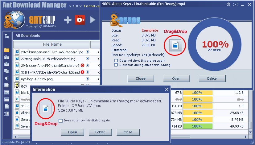 Ant Download Manager Pro 2.10.4.86303 free instal