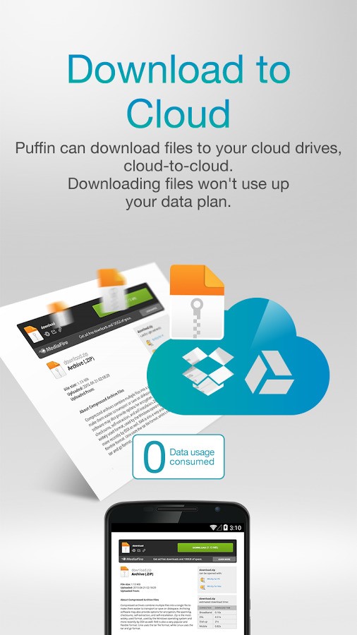 Скриншот 6 программы Puffin