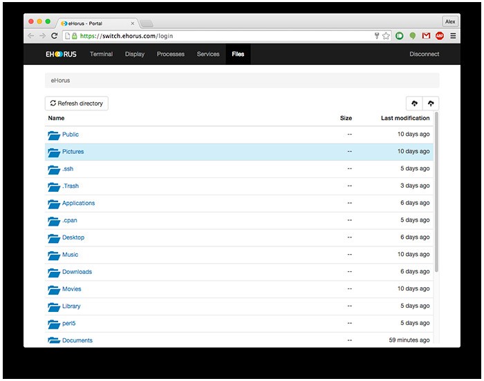 Скриншот 5 программы eHorus