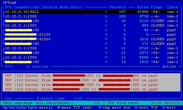 Скриншот 1 программы IPtraf-ng